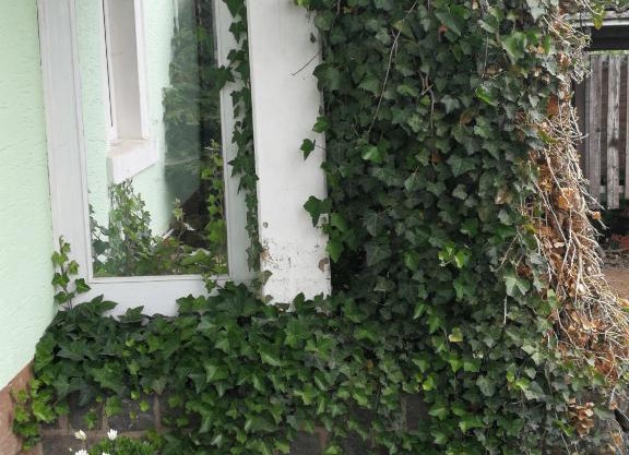 Appartement EIFEL im Haus Sybille