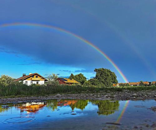 Appartement mit Garten