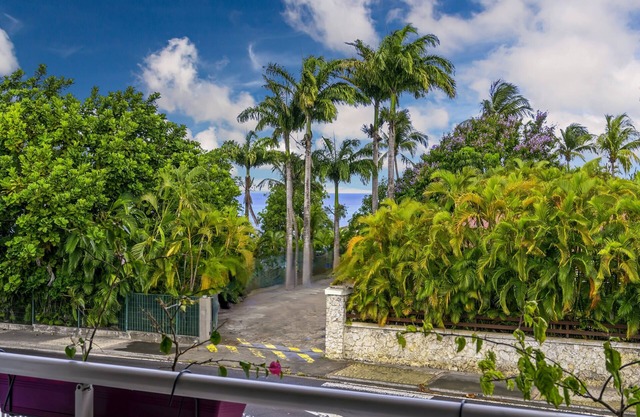 Appartement Orchid Dan 3 bedrooms, sea view, walking distance from the beach