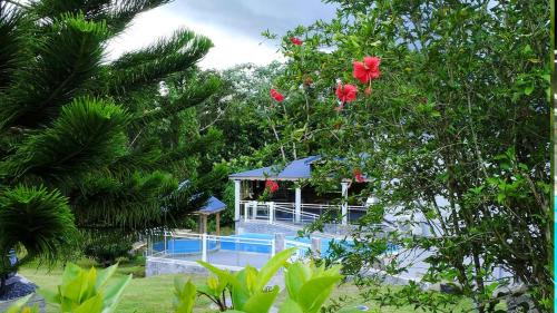 Appartement spacieux à Lamentin + piscine et jacuzzi.