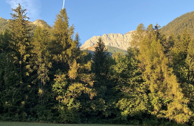 Appartement Vallée de L'ubaye en Pleine Nature au Calme