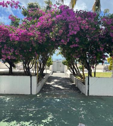 Apto 3 quartos pé na areia Prox de Recife