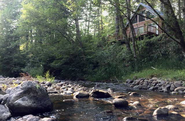AREA FAVORITE! Stunning Creek-Front Cabin, Just Minutes From Mt. Rainier!