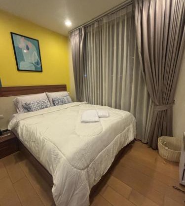 Astra Bee friend Chiangmai