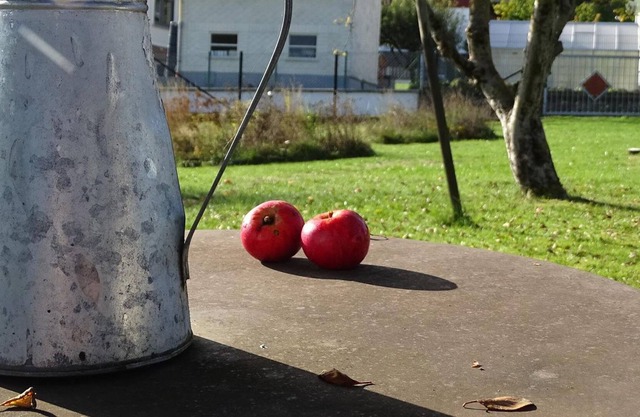 At home at FANISSIMO - FANISSIMO the little house, 1 bedroom-living room, shower toilet