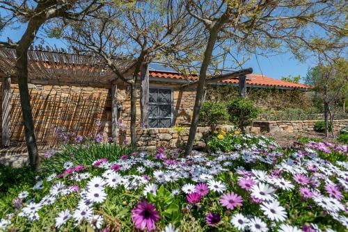 ATARAXIA at Saravari Beach