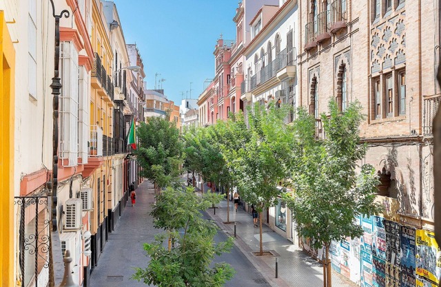 Attractive apartment with Terrace. Amor de Dios