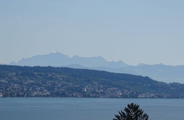 Attractive Studio close to Zürich City and Cant. ZugnLakeview - High Convenience