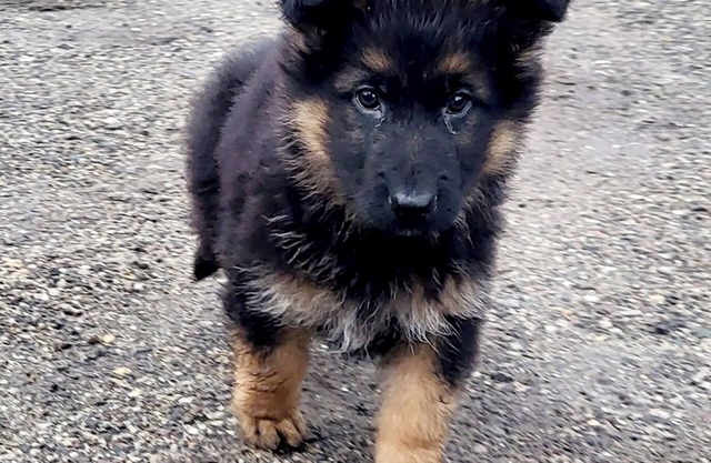 ATYPICAL GÎTE/SECLUDED HOUSE