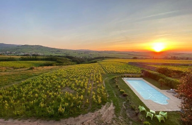 Au cœur des vignes Moulin à Vent