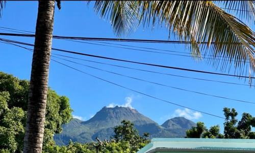 Au pied de la Soufrière