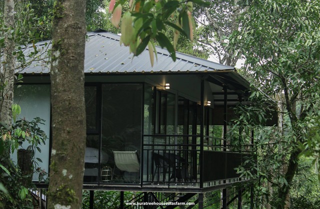 Aura Tree House Villa Farm