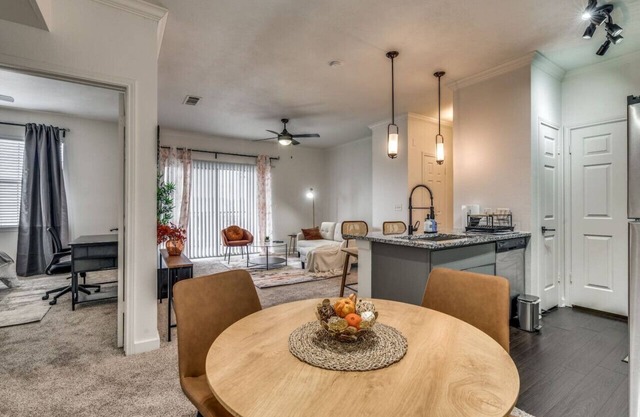 Austin Exquisite 1BR Apt w/pool