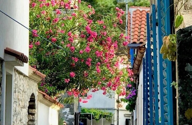 AUTHENTIC ‘VILA NONA’ by NYC Interior Architect