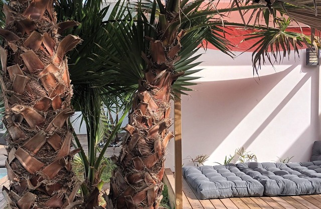 Autumn cocoon in Bayonne