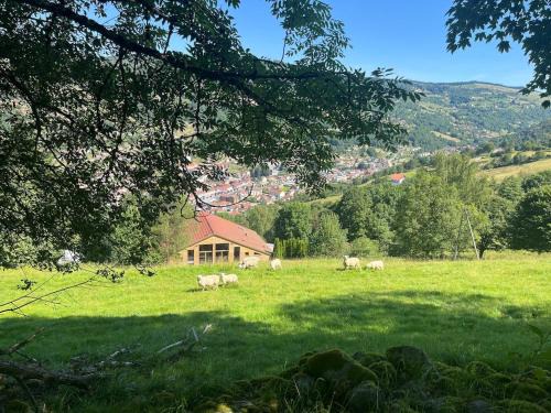 Aux Sources - 14 personnes - sauna & jacuzzi