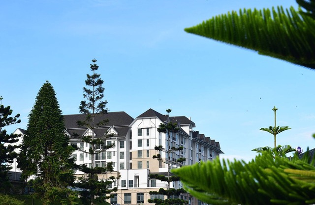 Avillion Cameron Highlands