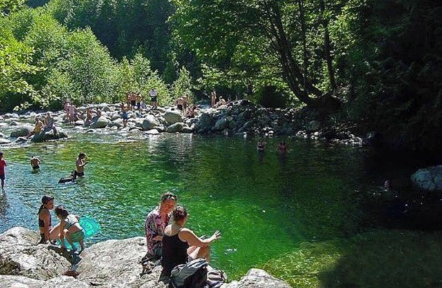 Awesome 2BR in Lynn Valley