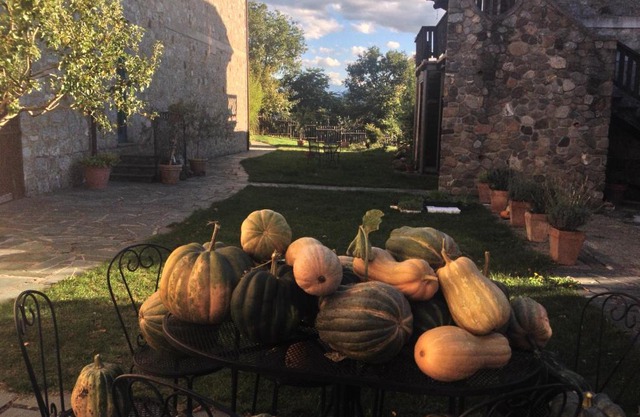Azienda Agricola Il Querceto