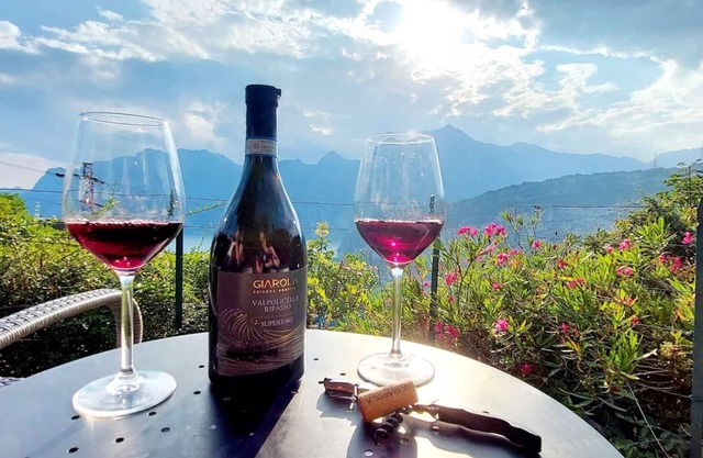 B&B Garden Belvedere