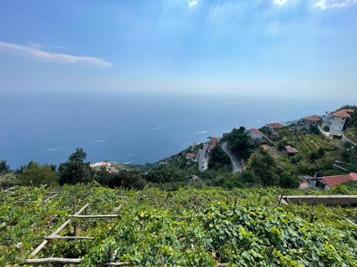 B&b La Vigna