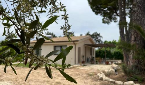 B&B Monstera SicilianExperience