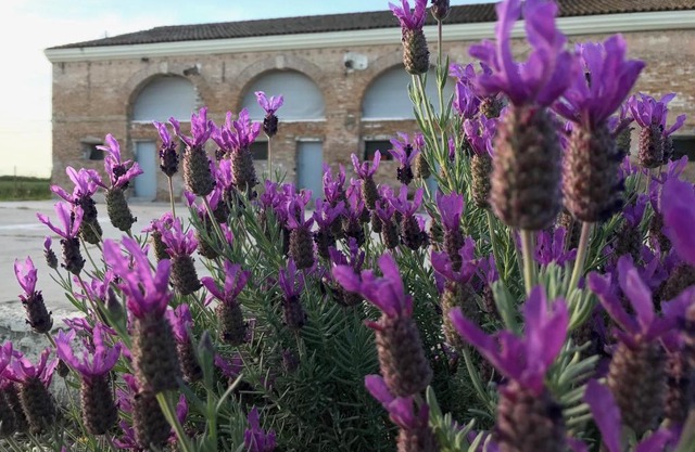 B&B Tenuta della Duchessa