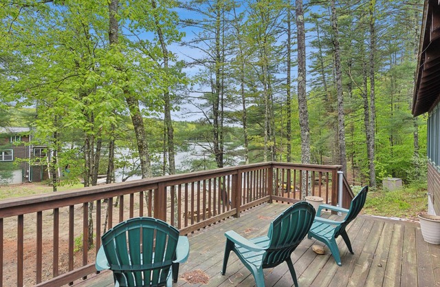Balch Lakeside Lodge 3-bedroom cabin with WIFI/AC