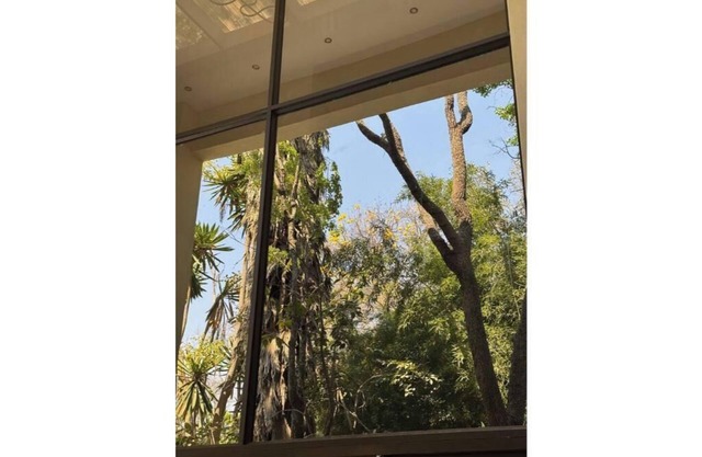 Bamboo-view Breeze Nest