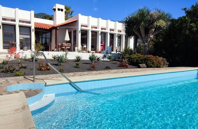 BauHaus meets cactus