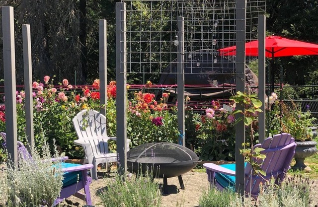 Be Nurtured by Nature in one of our 3 Fabulous Yurts Nestled Near the Forest