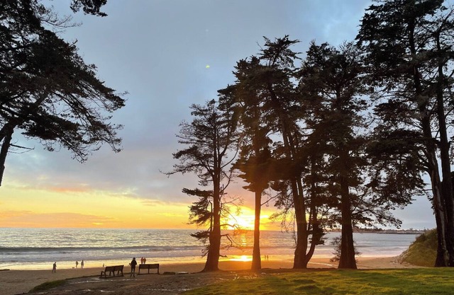 Beach, pool, gym, wifi—everything included.