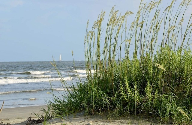 Beachfront Condo in Cocoa Beach