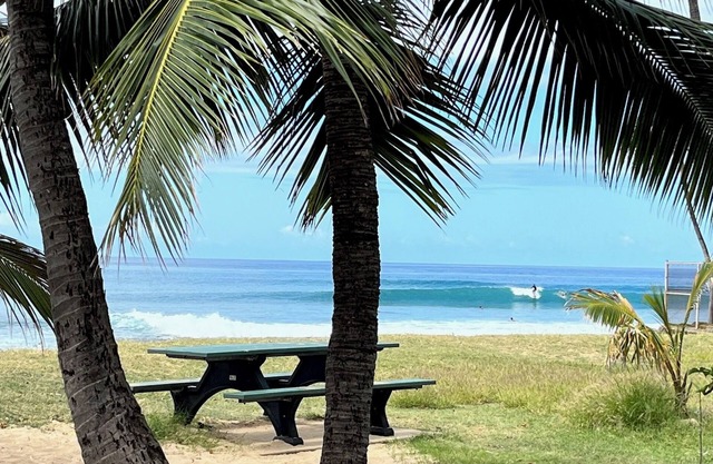 Beachfront surfers paradise, separate 1bdr, liv. room, and full sized kitchen!