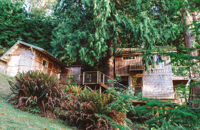 Beachfront Treehouse in the Heart of Puget Sound
