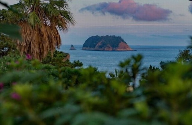 Beachside Whitehouse