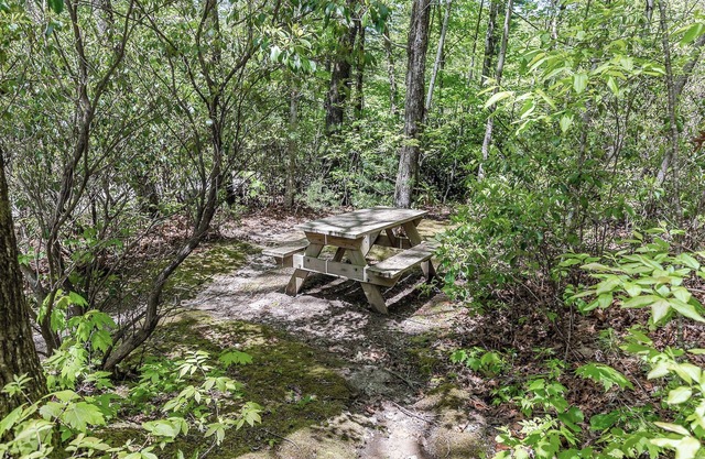 Bear Cave - Unique Cabin w/Fire Pit and Tennis On Site