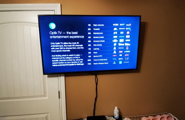 Bear Creek Suite/Room B1