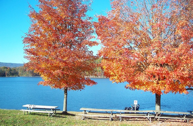 Bear's Den, near 7 points & minutes to all conveniences, hike down to the lake
