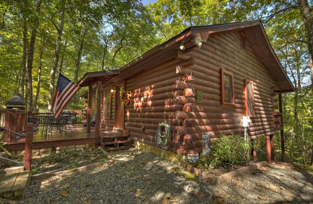 Bear Watch - Blue Ridge