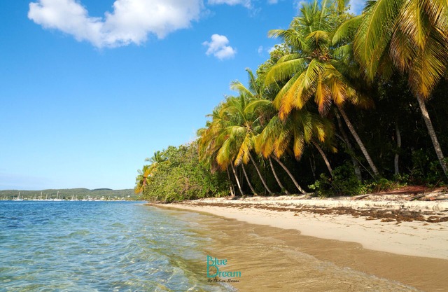Beau Studio Équipé Dans un Complexe Hôtelier de Standing