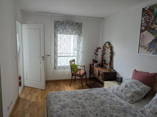 Beautiful flat around Geneva & its airport Palexpo