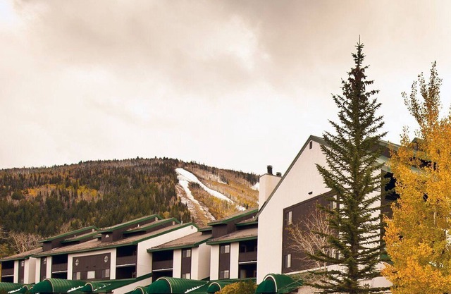 Beautiful 1 bedroom unit at resort, sleeps 6