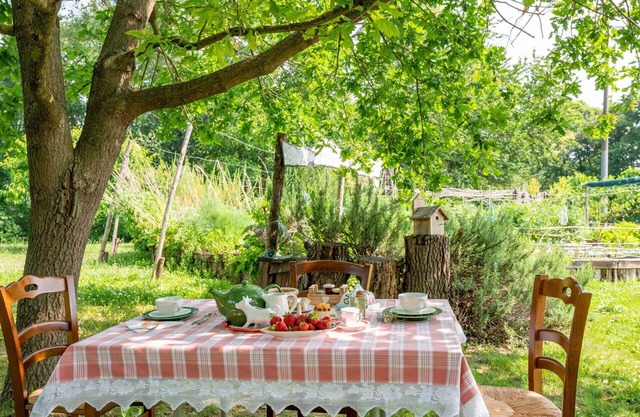 Beautiful apartment for 3 guests with WIFI, TV, terrace and pets allowed