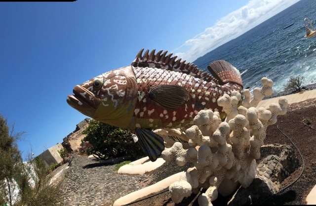 Beautiful apartment 7 minutes from the beach, comfortable and ideal for families