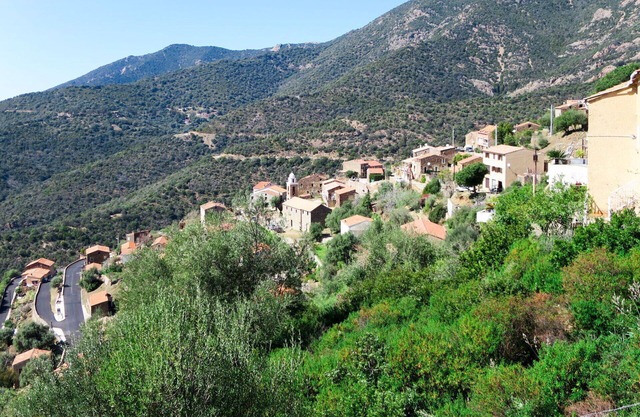 Beautiful apartment for 3 guests with A/C, WIFI, TV, patio, pets allowed, panoramic view and par.