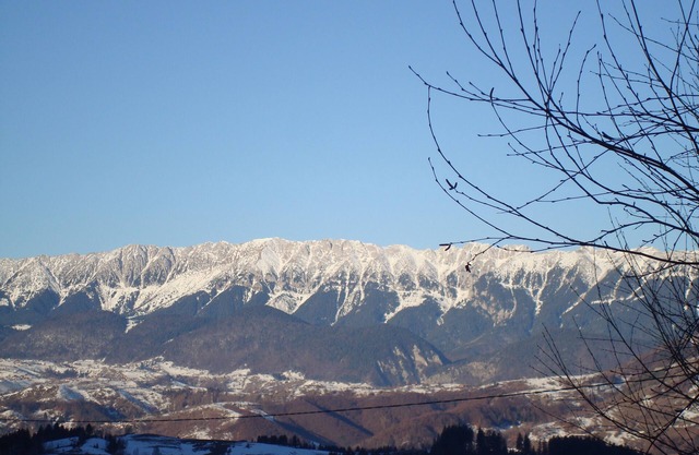 Beautiful chalet with a wonderful view in Bran