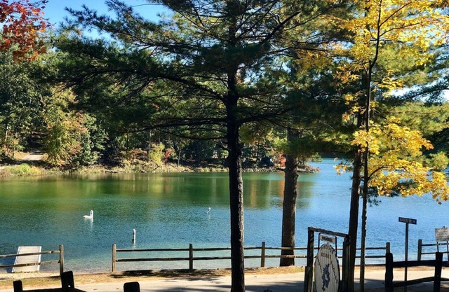 Beautiful Cottage on Arbutus Lake, Traverse City, MI 49696