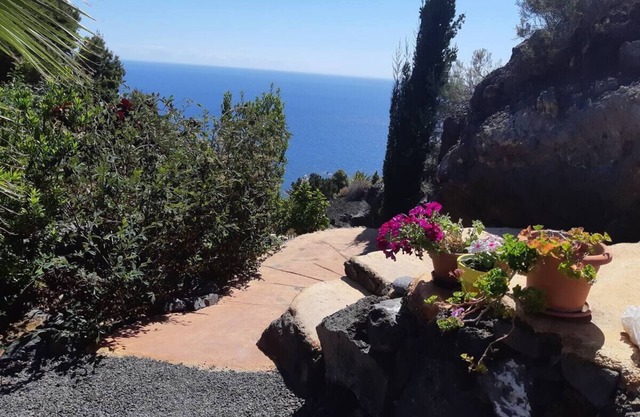 Beautiful wooden pavillon with cavelike kitchen and livingroom