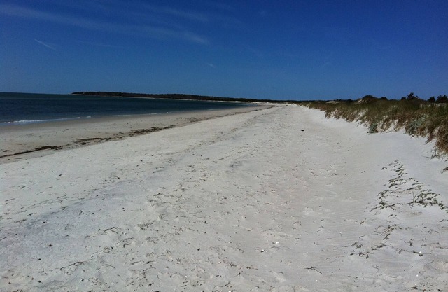 Beautiful Great Island Pool Home, Private Beaches, water views, Love Dogs!